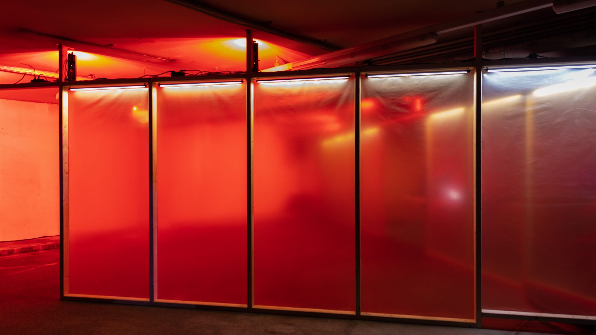 © Photo by Jürgen Grünwald